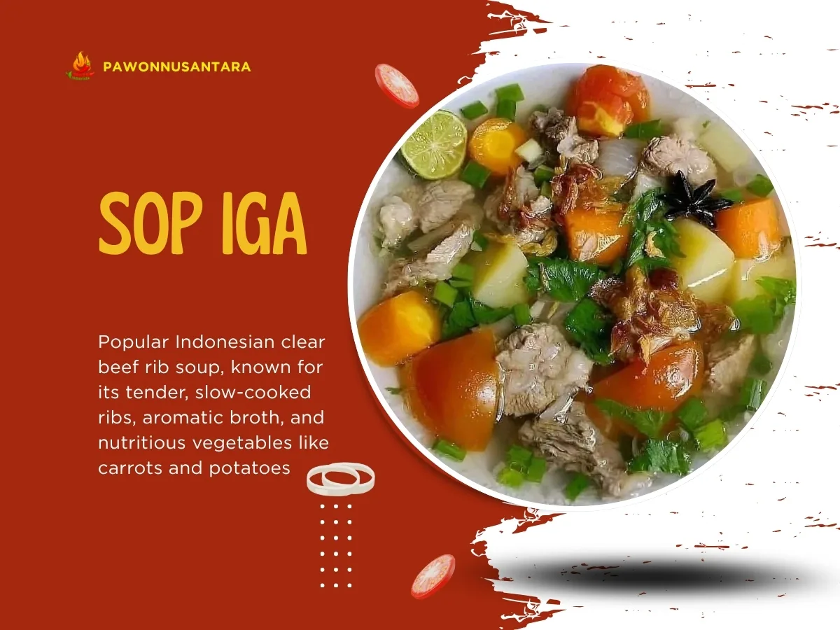 Sop Iga